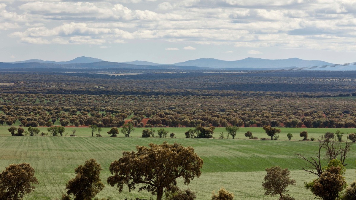 Escapada Rural a Salamanca: Fin de Semana Perfecto